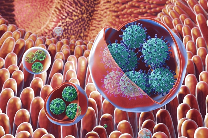 Image of vesicle-cloaked virus